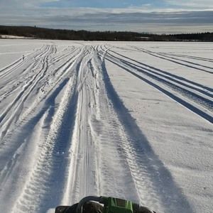 Meet your Posher, Jaret